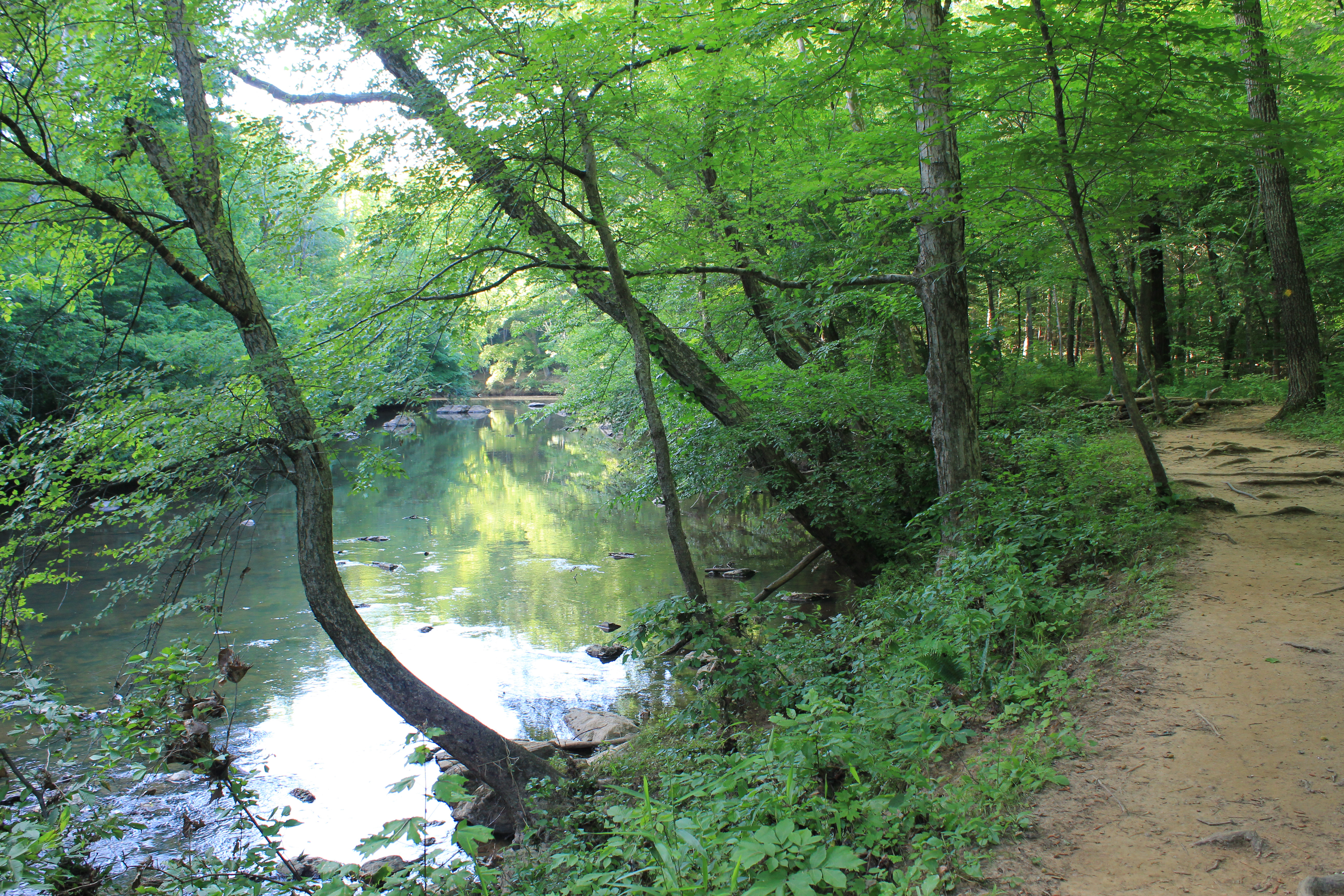 River walk by the Eno, thumbnail from portfolio website